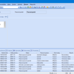 Pracovní právo pracovní list