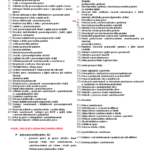 Pracovní právo ve školství