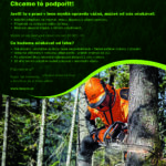 Výše prospěchového stipendia